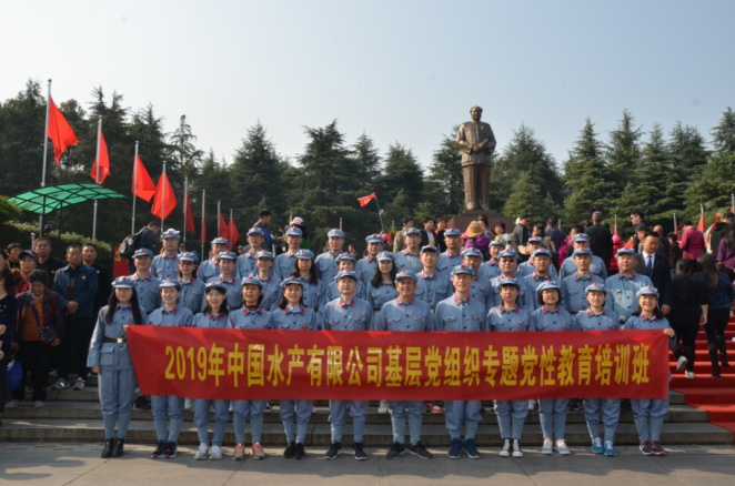 图片12.png