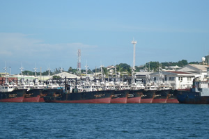 18105343vuqs.jpg